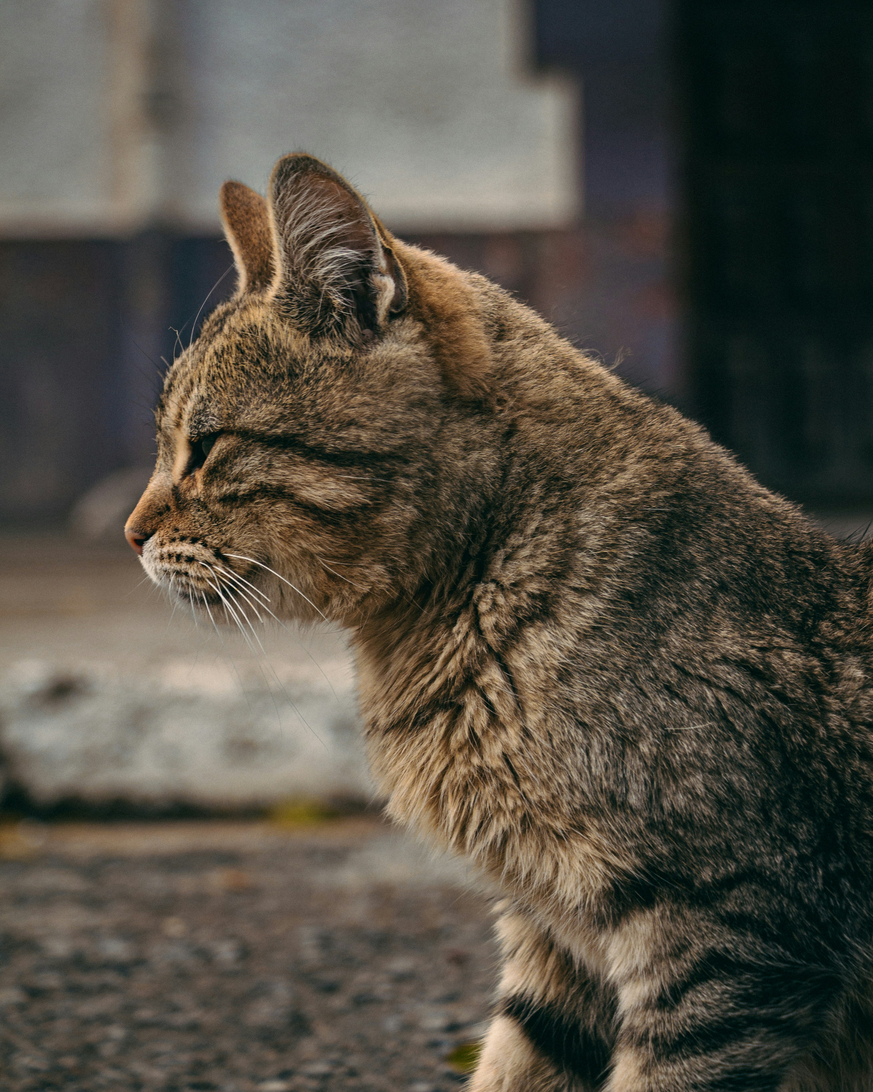 Photo by tomarquize