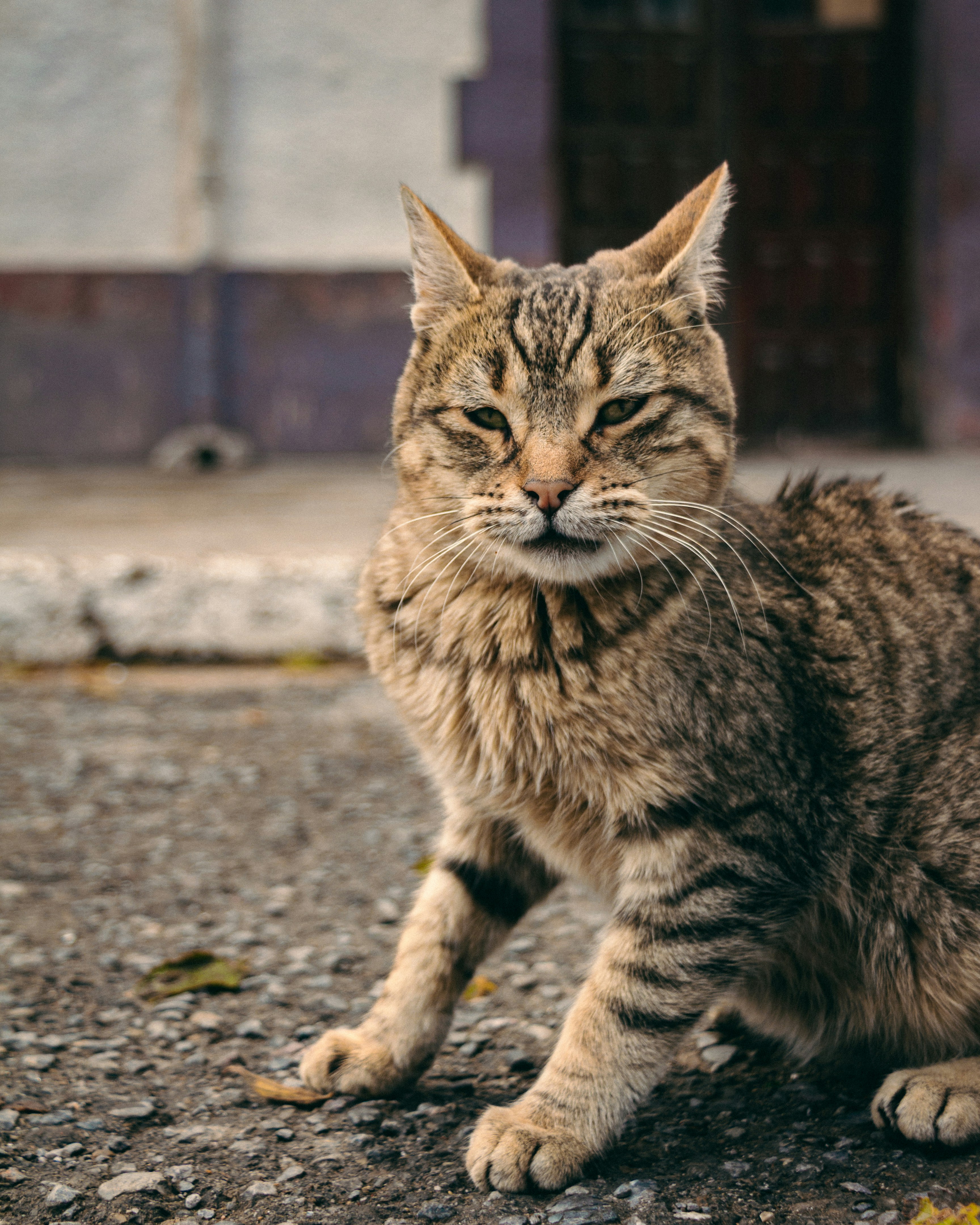 Photo by tomarquize