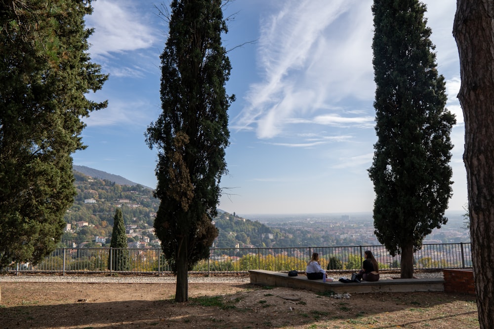 a couple of people sitting on a bench under some trees