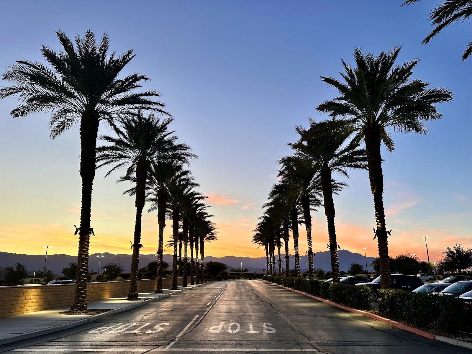 Palm-lined Coachella Valley street at sunset with mountains in the distance