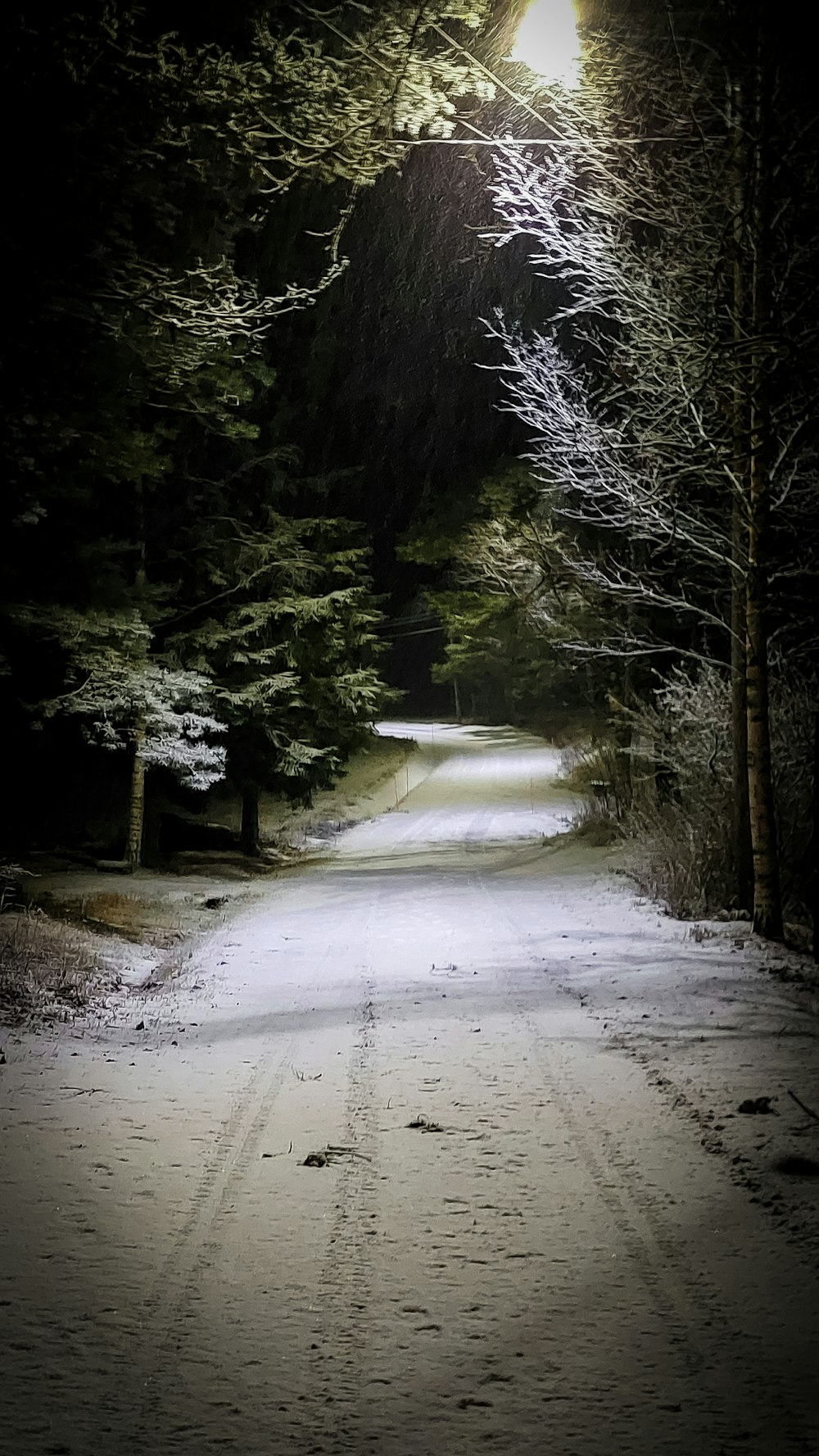 a snow covered road in the middle of a forest