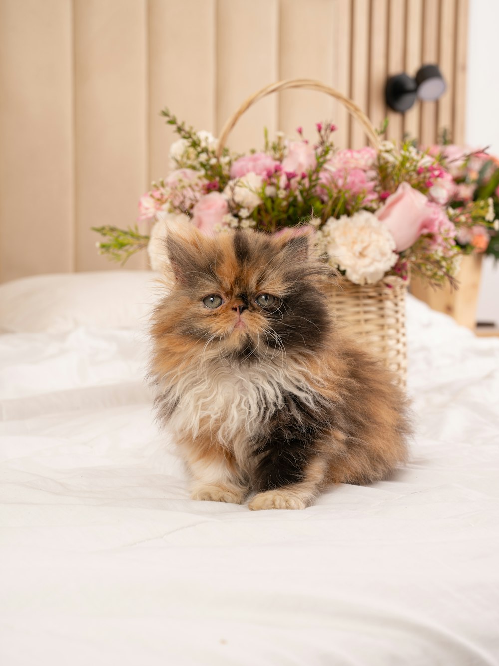 a cat sitting on a bed next to a basket of flowers