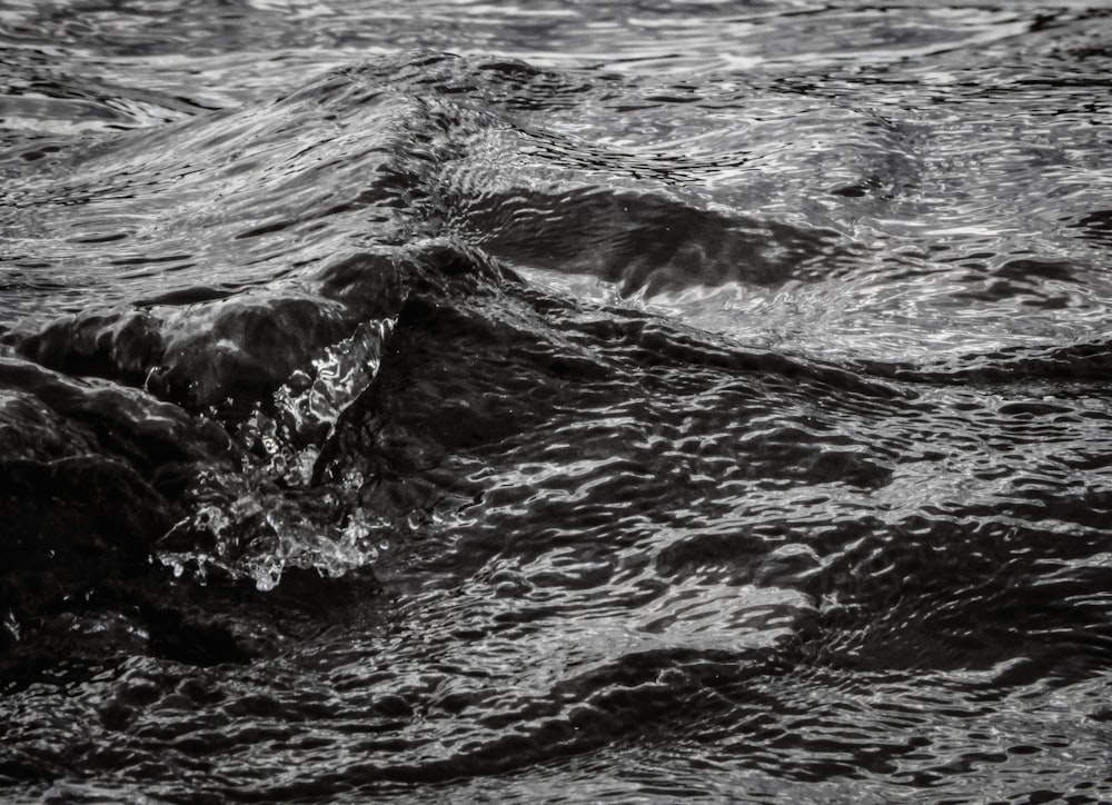 a black and white photo of water and rocks