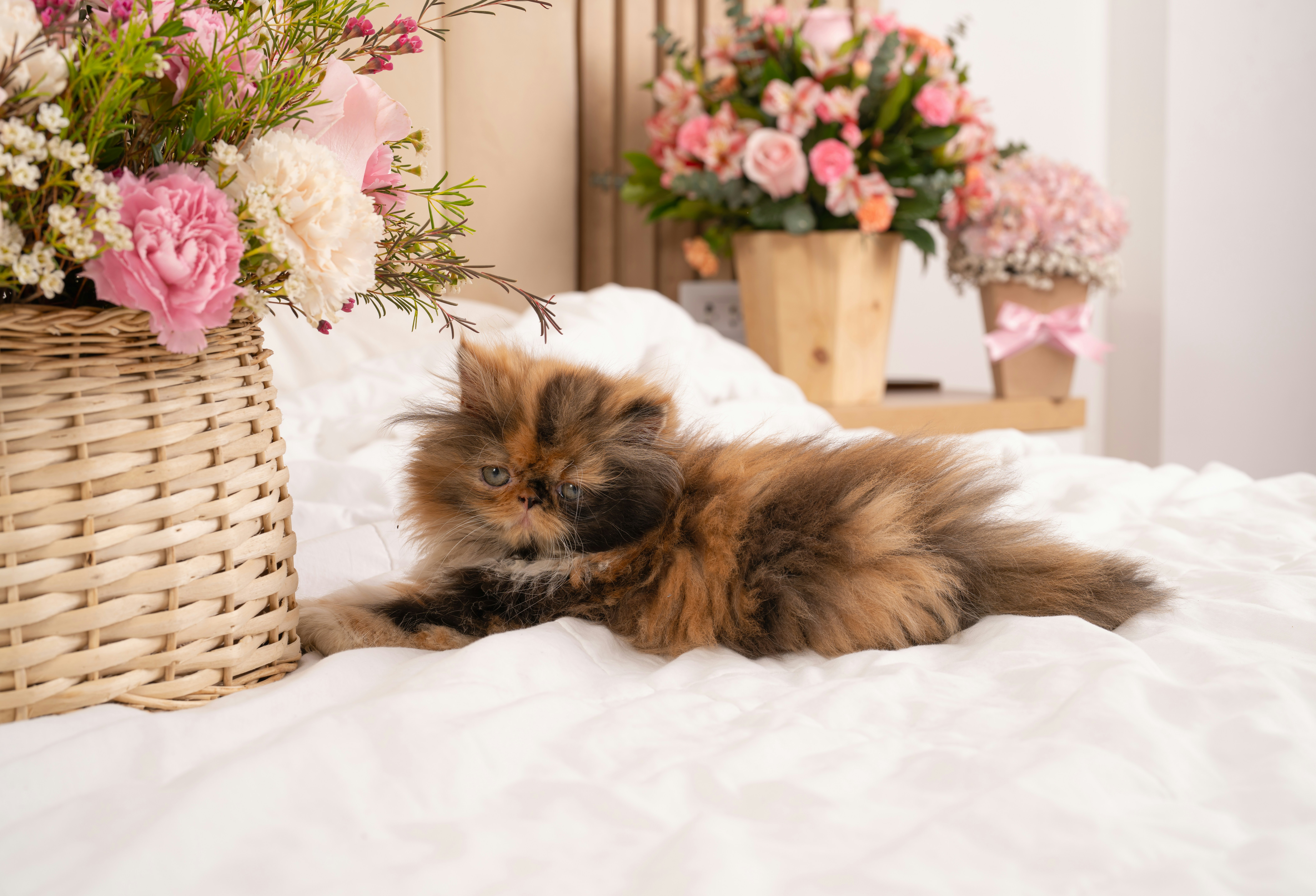 a cat laying on a bed next to a basket of flowers