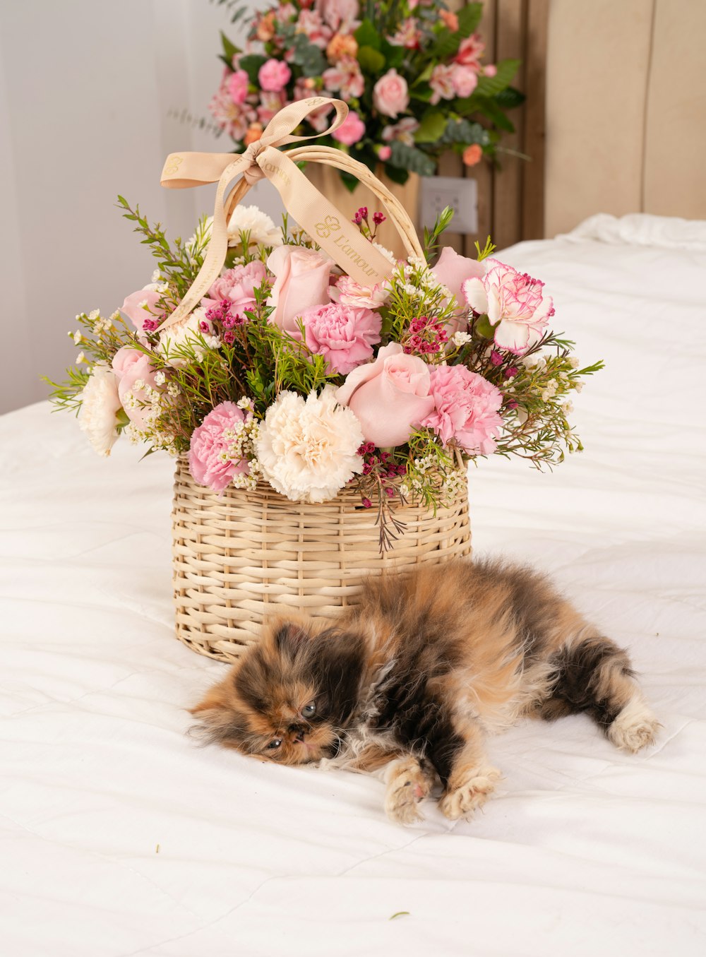 a cat laying on top of a bed next to a basket of flowers