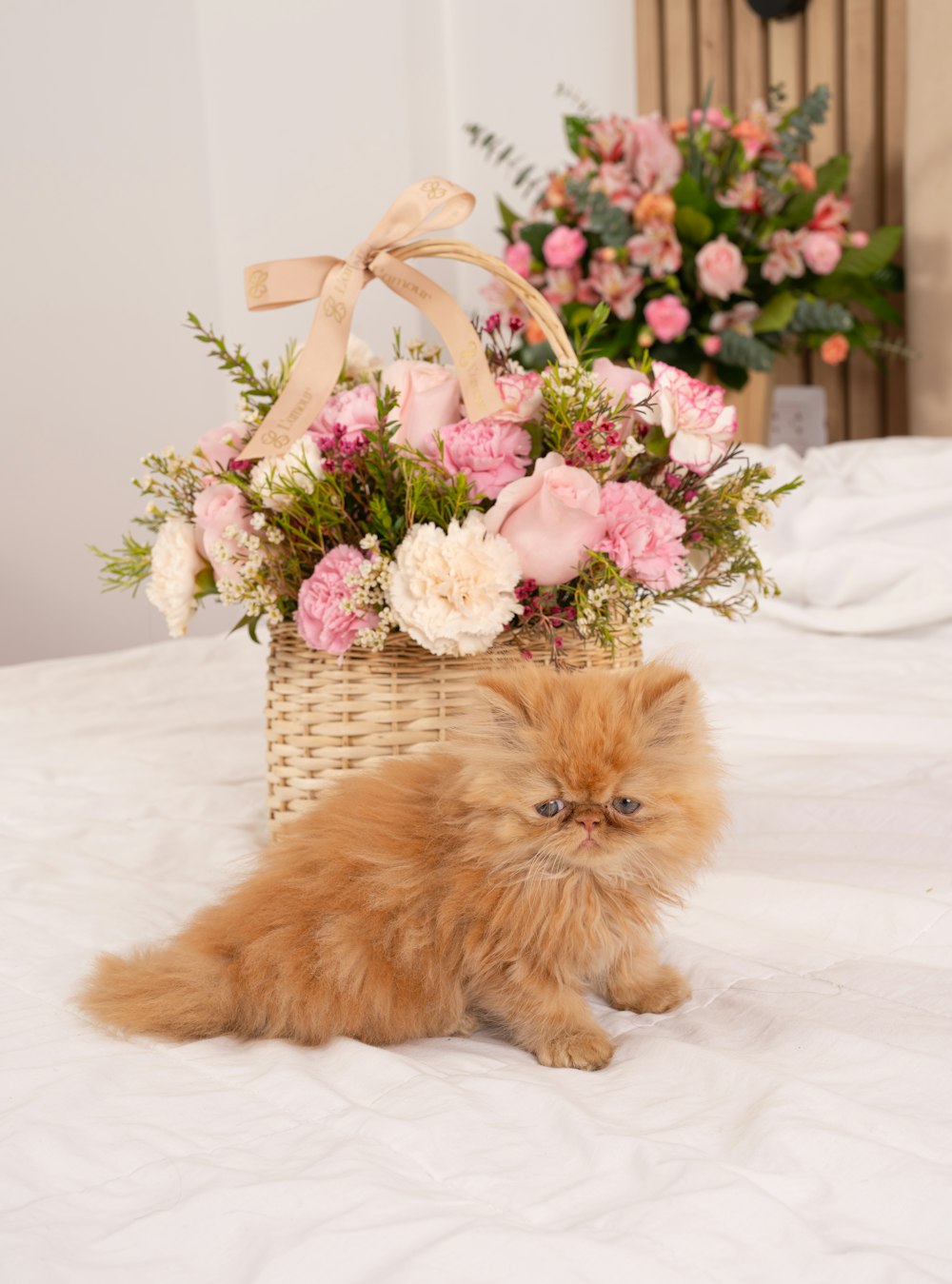 a cat sitting on a bed next to a basket of flowers