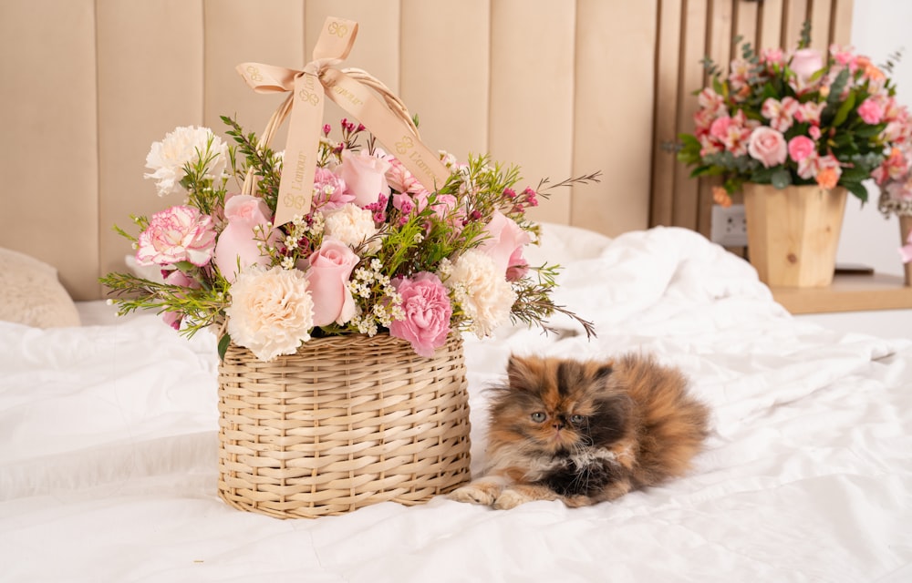 a cat laying on a bed next to a basket of flowers