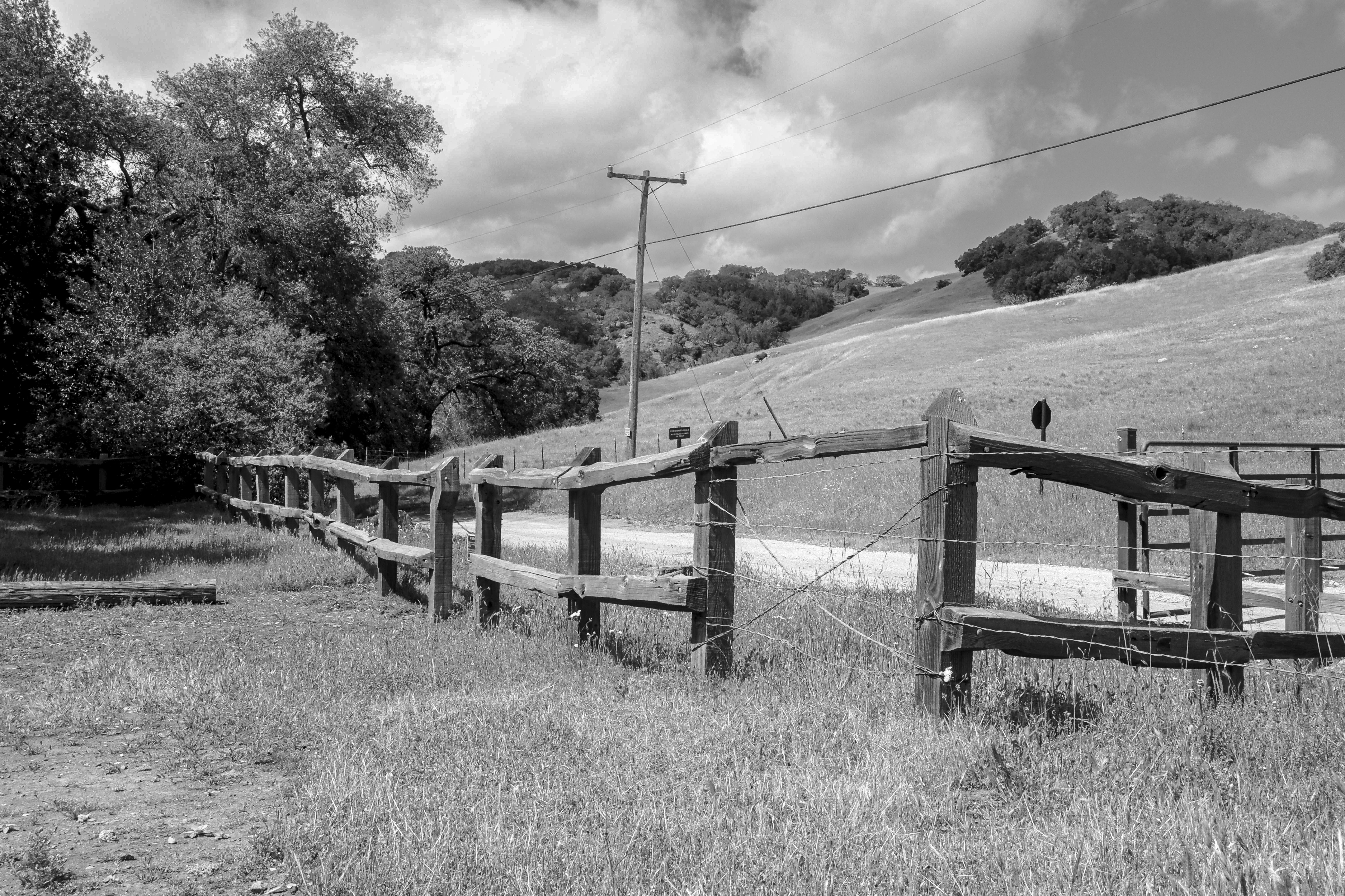 The Fence Line Dispute That United Two Neighbors in Indianapolis