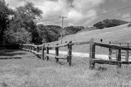 A wooden fence stretches across a rural landscape with grassy fields and rolling hills under a partly cloudy sky. Trees line the left side, and a dirt path runs parallel to the fence. A utility pole stands beside the path.