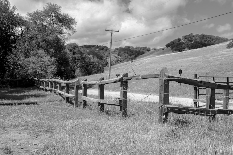 A wooden fence stretches across a rural landscape with grassy fields and rolling hills under a partly cloudy sky. Trees line the left side, and a dirt path runs parallel to the fence. A utility pole stands beside the path.