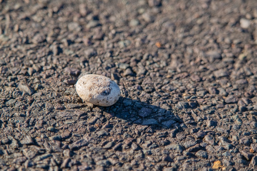 a rock sitting on the ground in the middle of the road