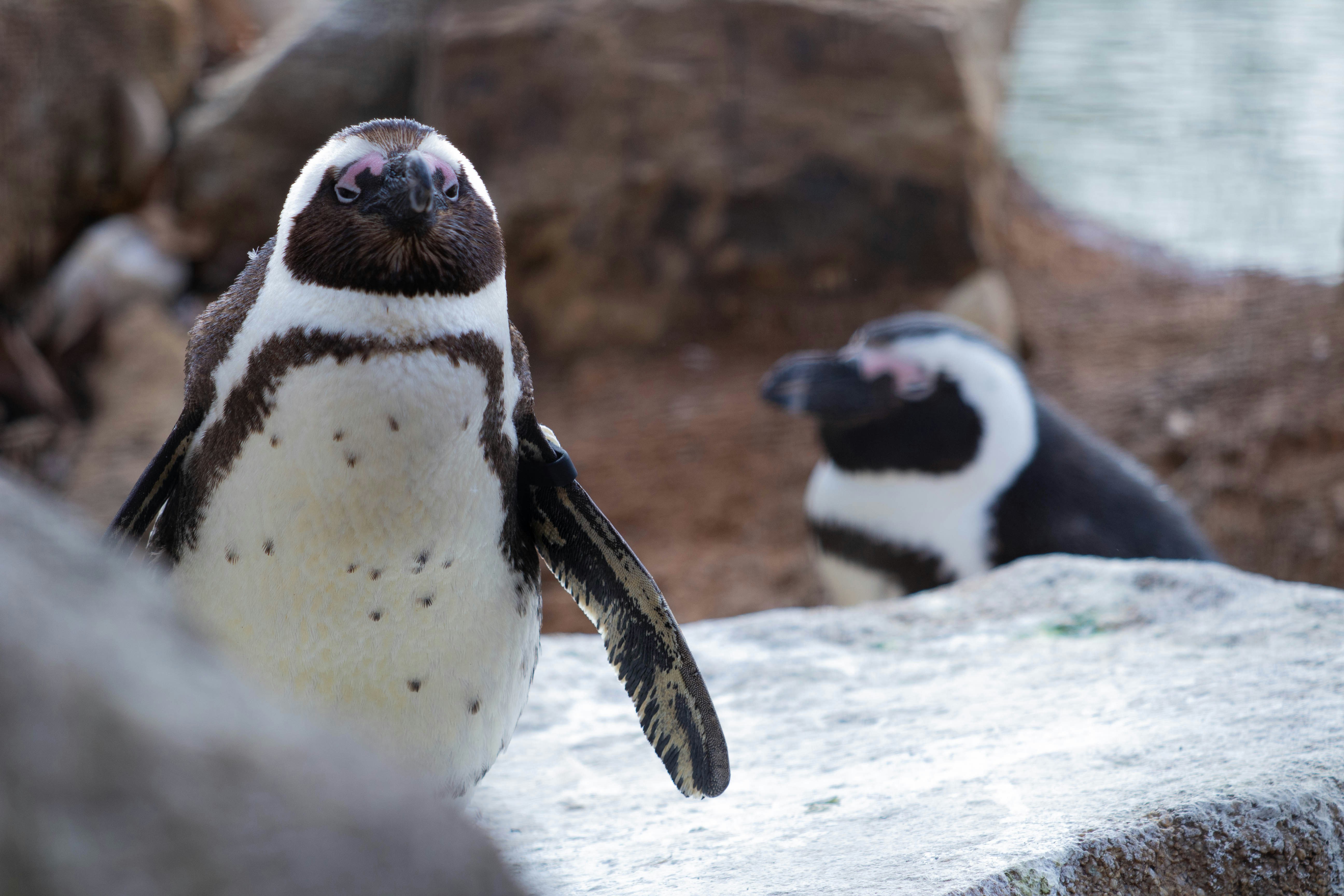 Photo by jennys_eye0