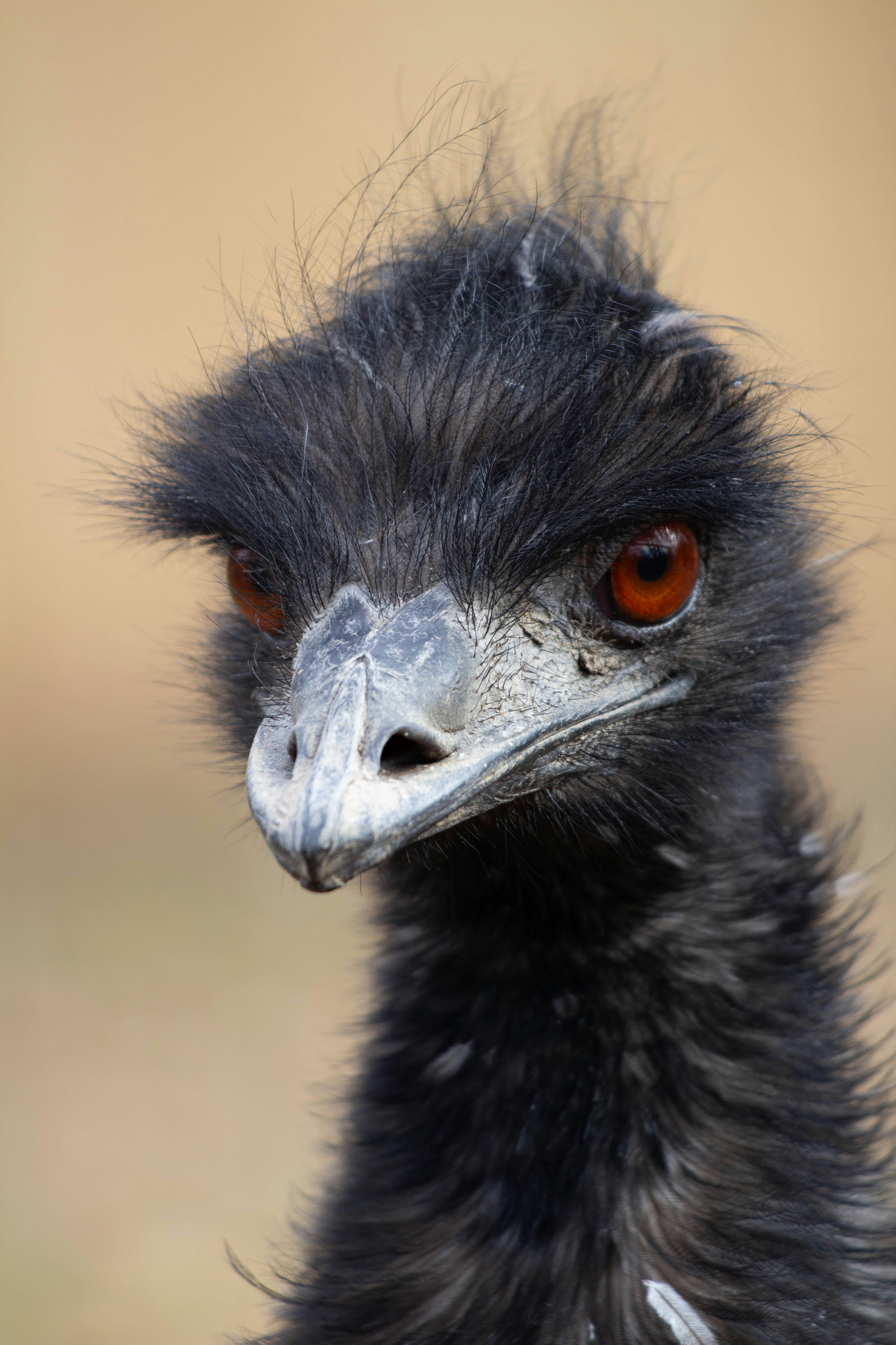 Photo by jennys_eye0