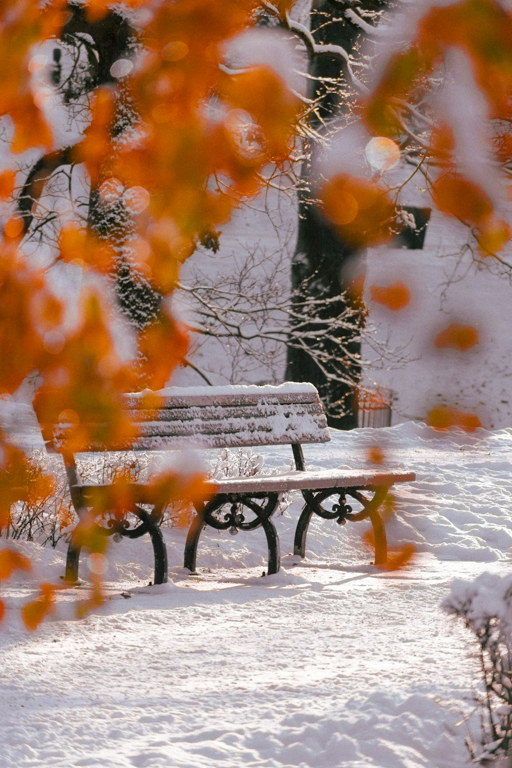a snow covered park bench in the middle of a park