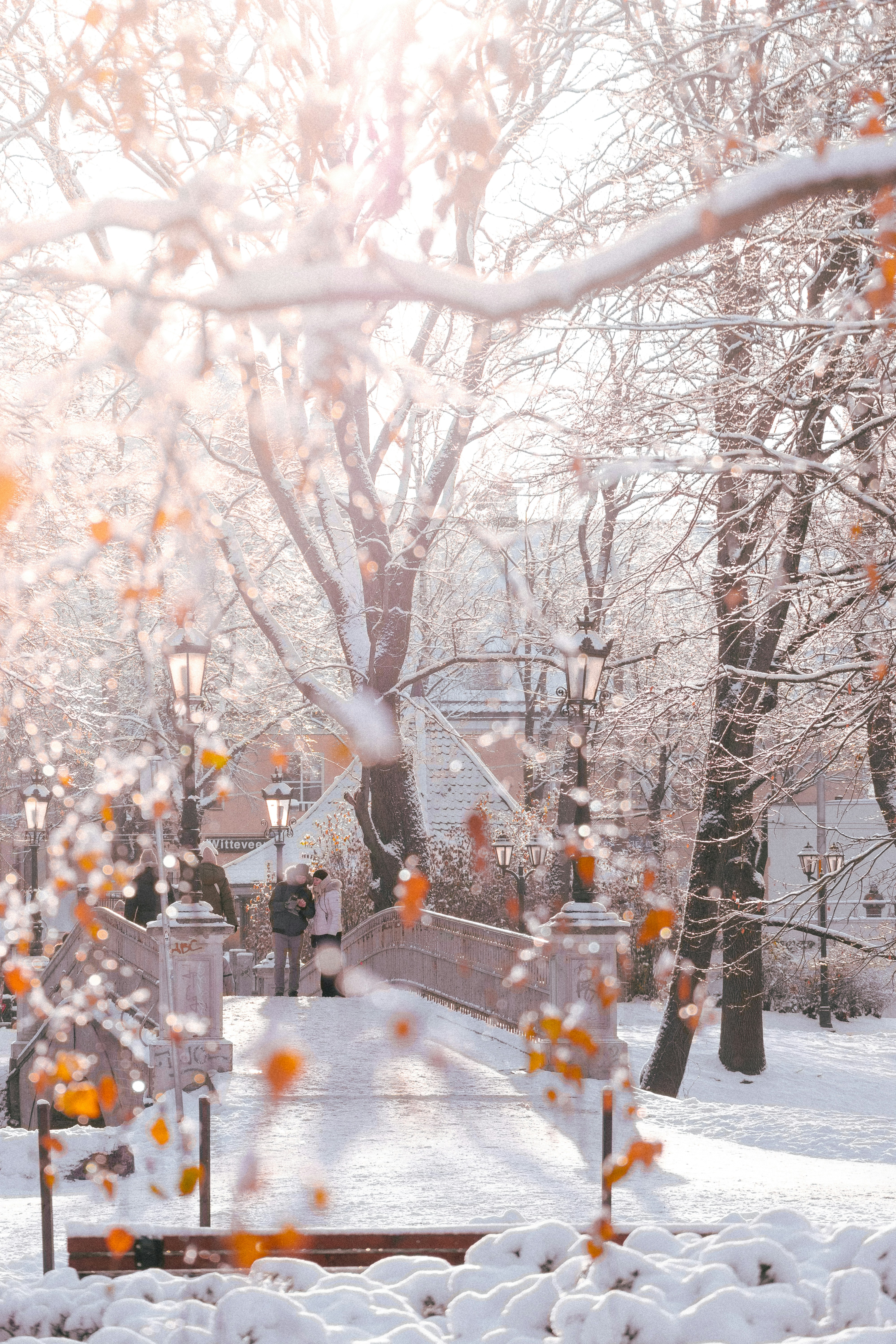 Photo by christina_kozak