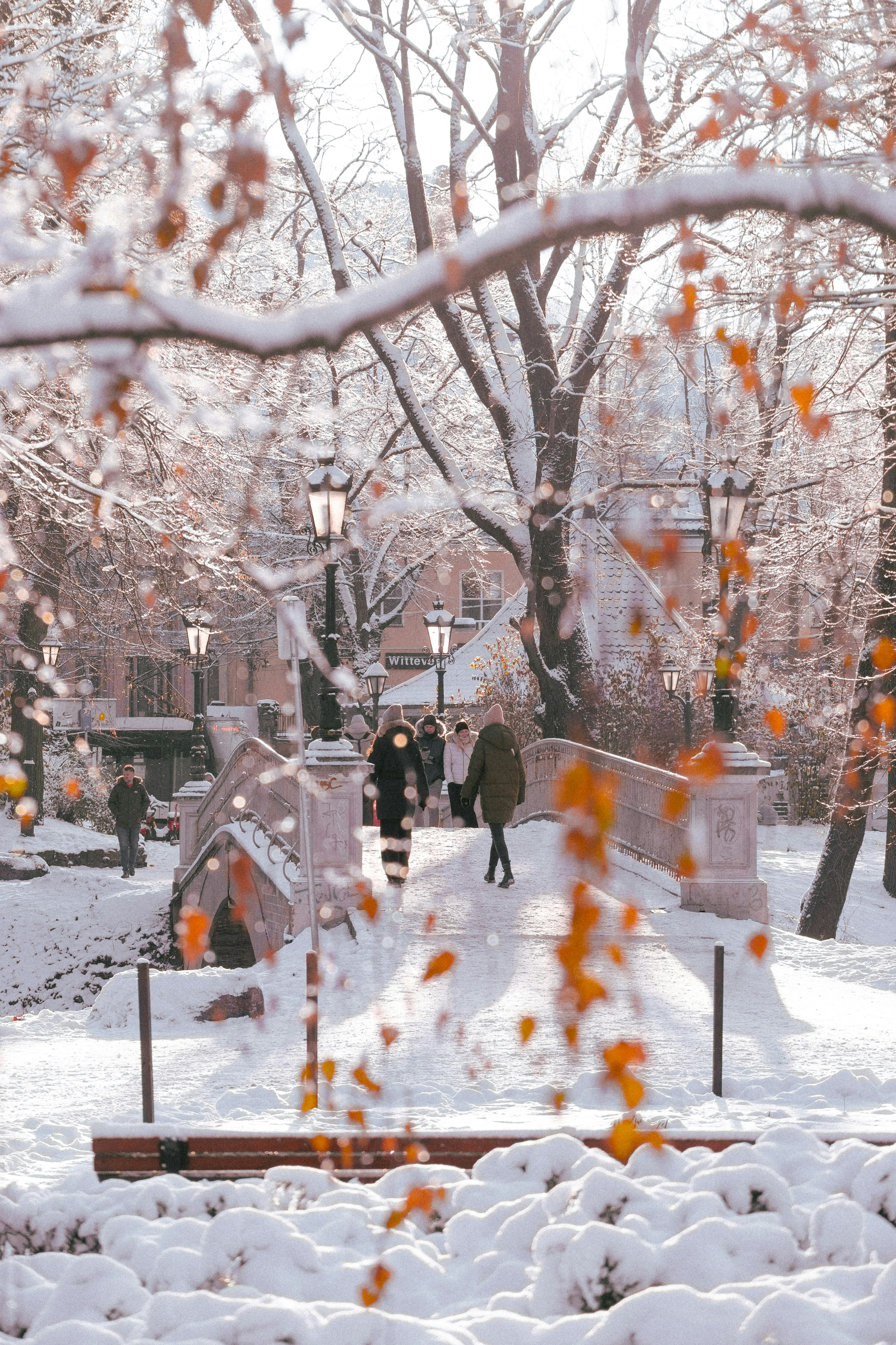 Photo by christina_kozak