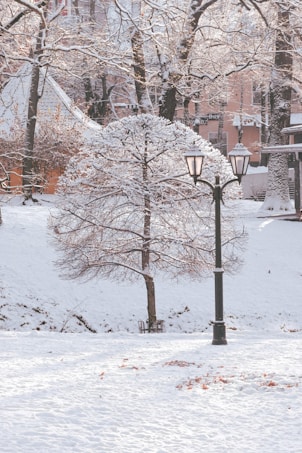 A park scene covered in snow, featuring a central tree with snow-laden branches and a vintage-style street lamp to the right. In the background, there are more snow-covered trees and buildings with light pink and orange facades. The ground is blanketed with fresh snow, with a few patches of fallen leaves visible.