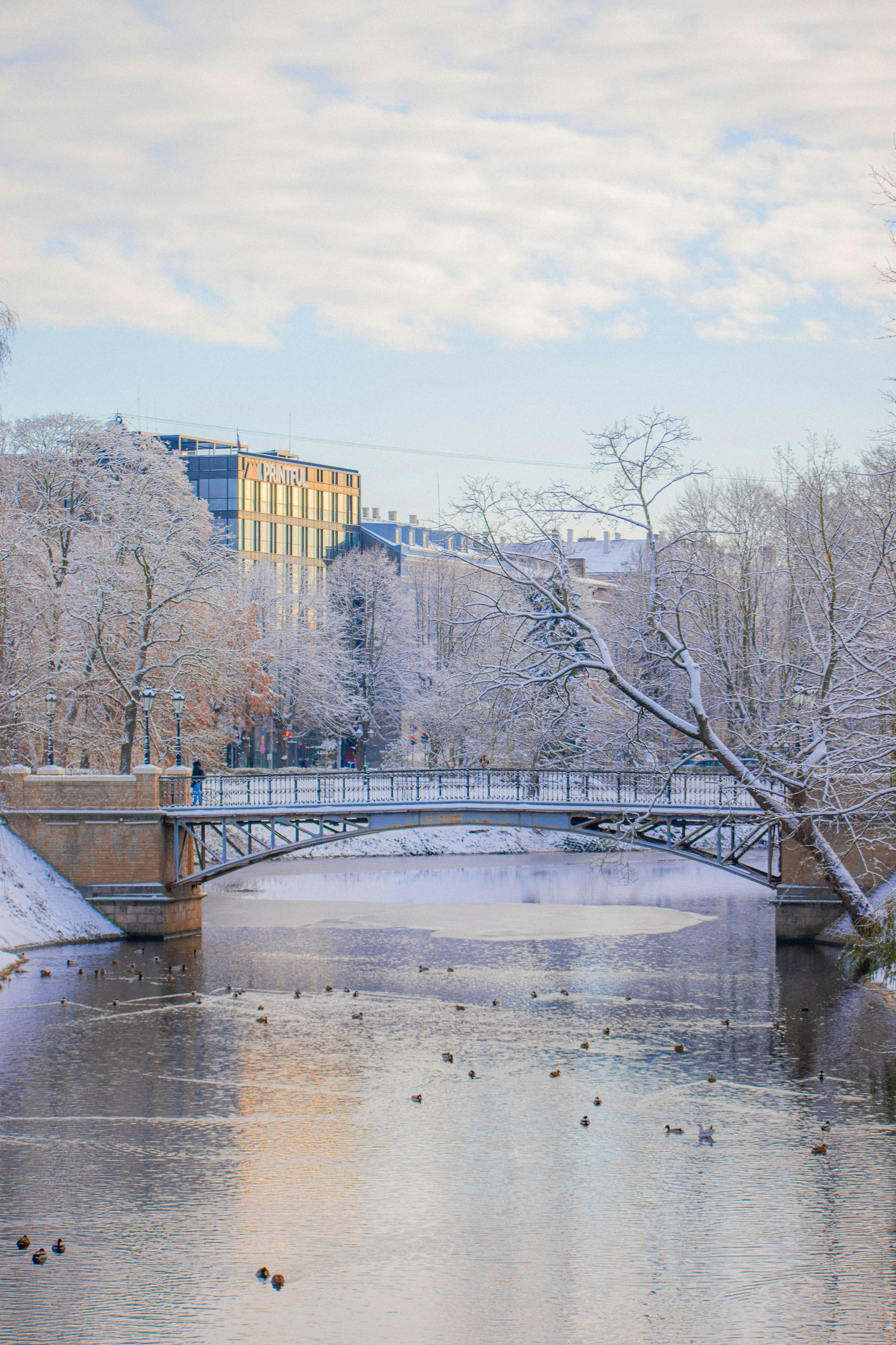 Photo by christina_kozak