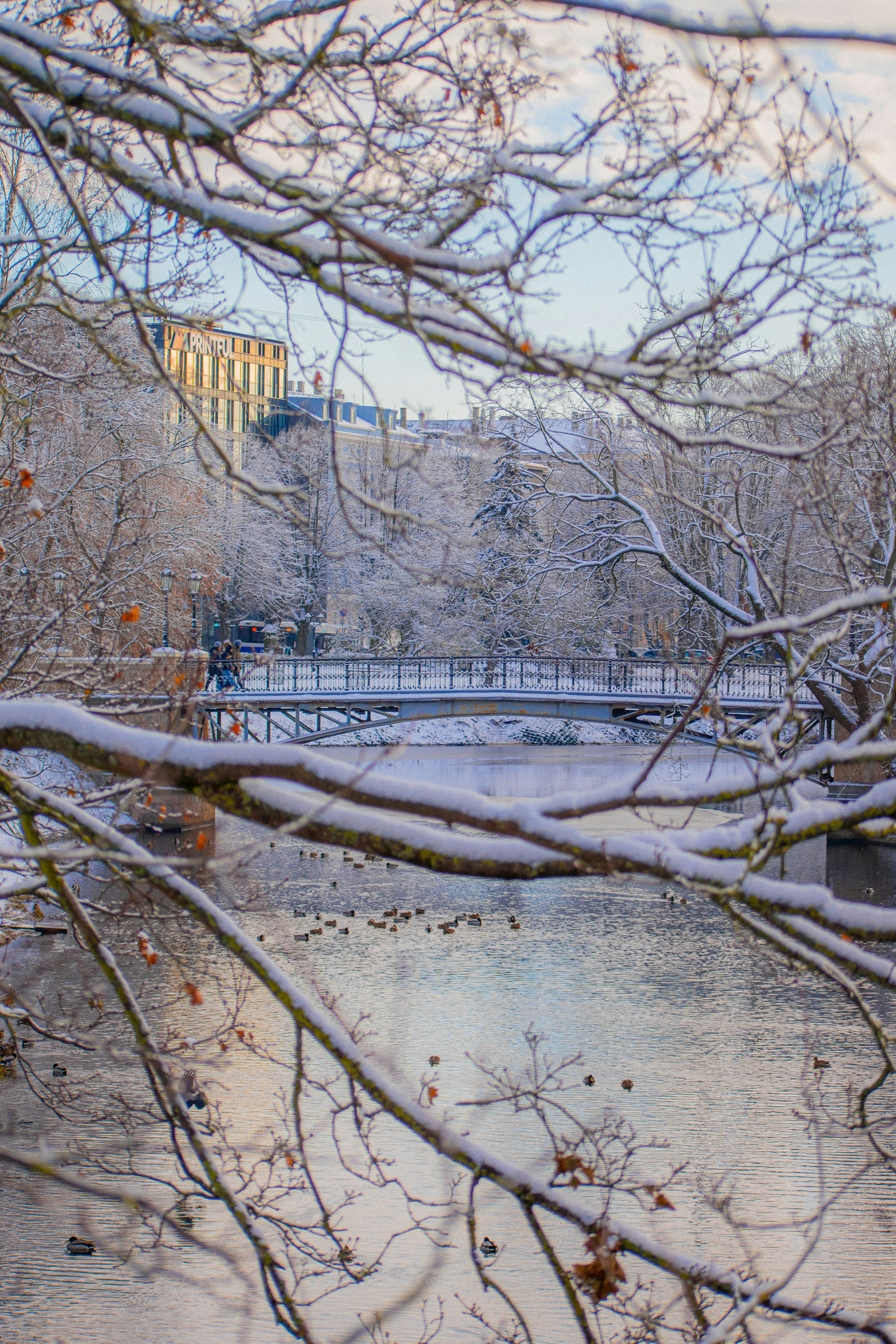 Photo by christina_kozak