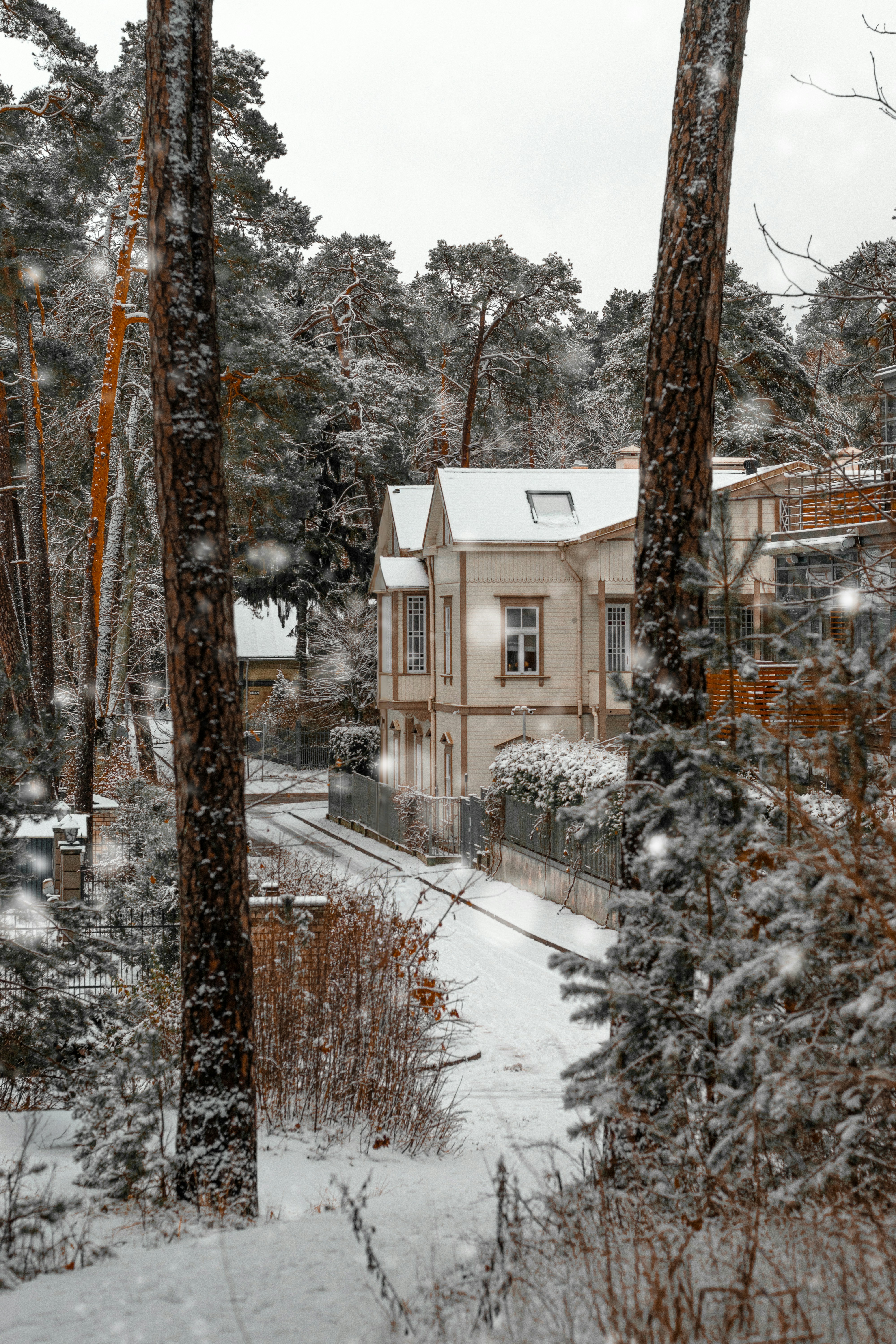 Photo by christina_kozak