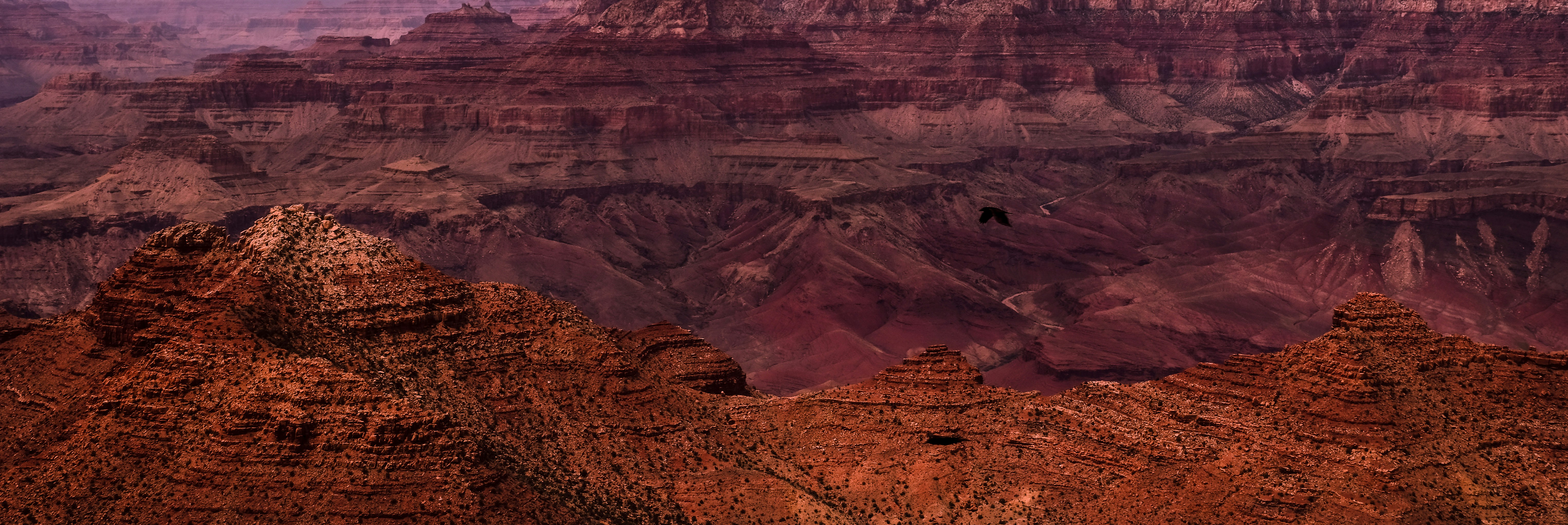 a bird flying over a mountain range in the desert