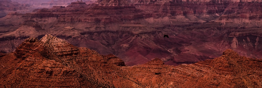 a bird flying over a mountain range in the desert