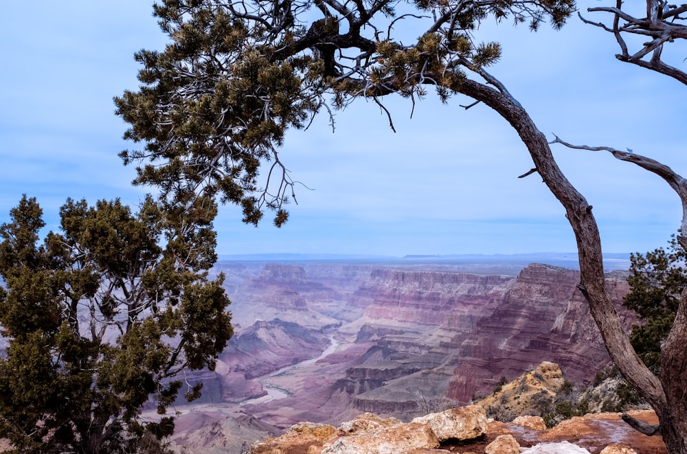 a view of the grand canyon from the top of a hill