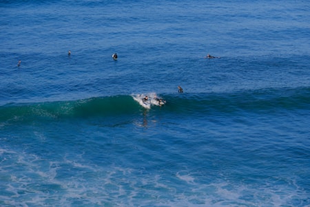Several surfers are in the ocean, with one riding a wave while others wait in the water. The scene is set against a backdrop of deep blue sea and clear skies. The surfers are wearing wetsuits, indicating the temperatures might be cool.
