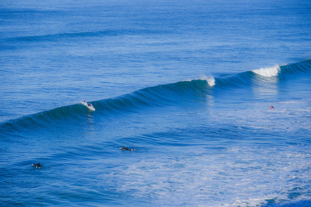 una persona montando una ola encima de una tabla de surf