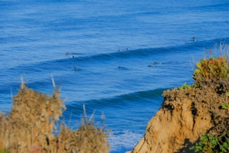 Several surfers are floating on their boards in the ocean, waiting for waves. The ocean is a vibrant blue, and the waves are gently rolling. In the foreground, there are rocky cliffs with some sparse vegetation.