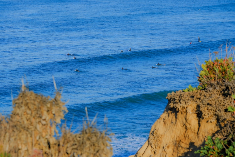 a group of surfers riding a wave in the ocean