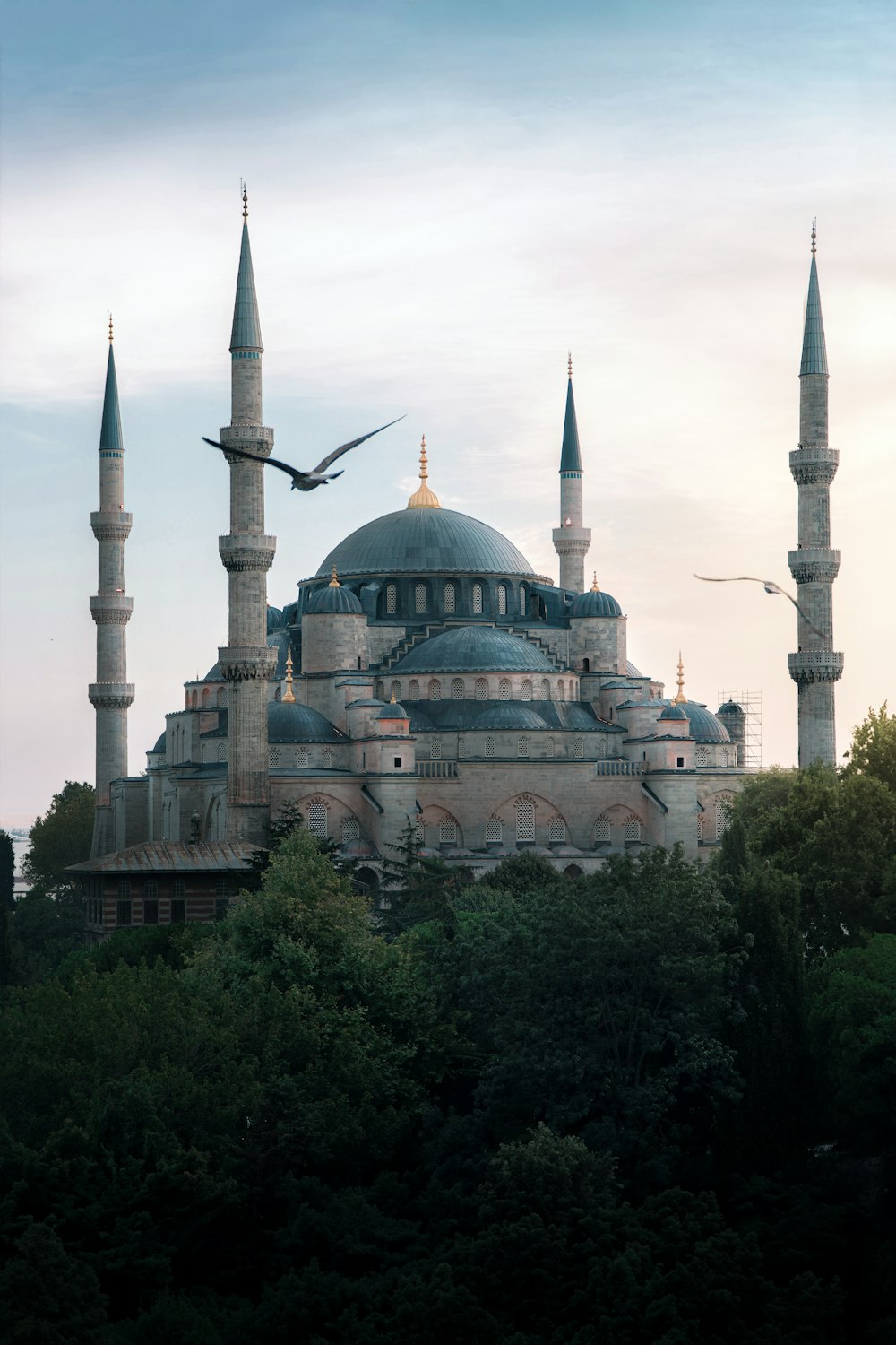 a bird flying over a large building in the middle of a forest