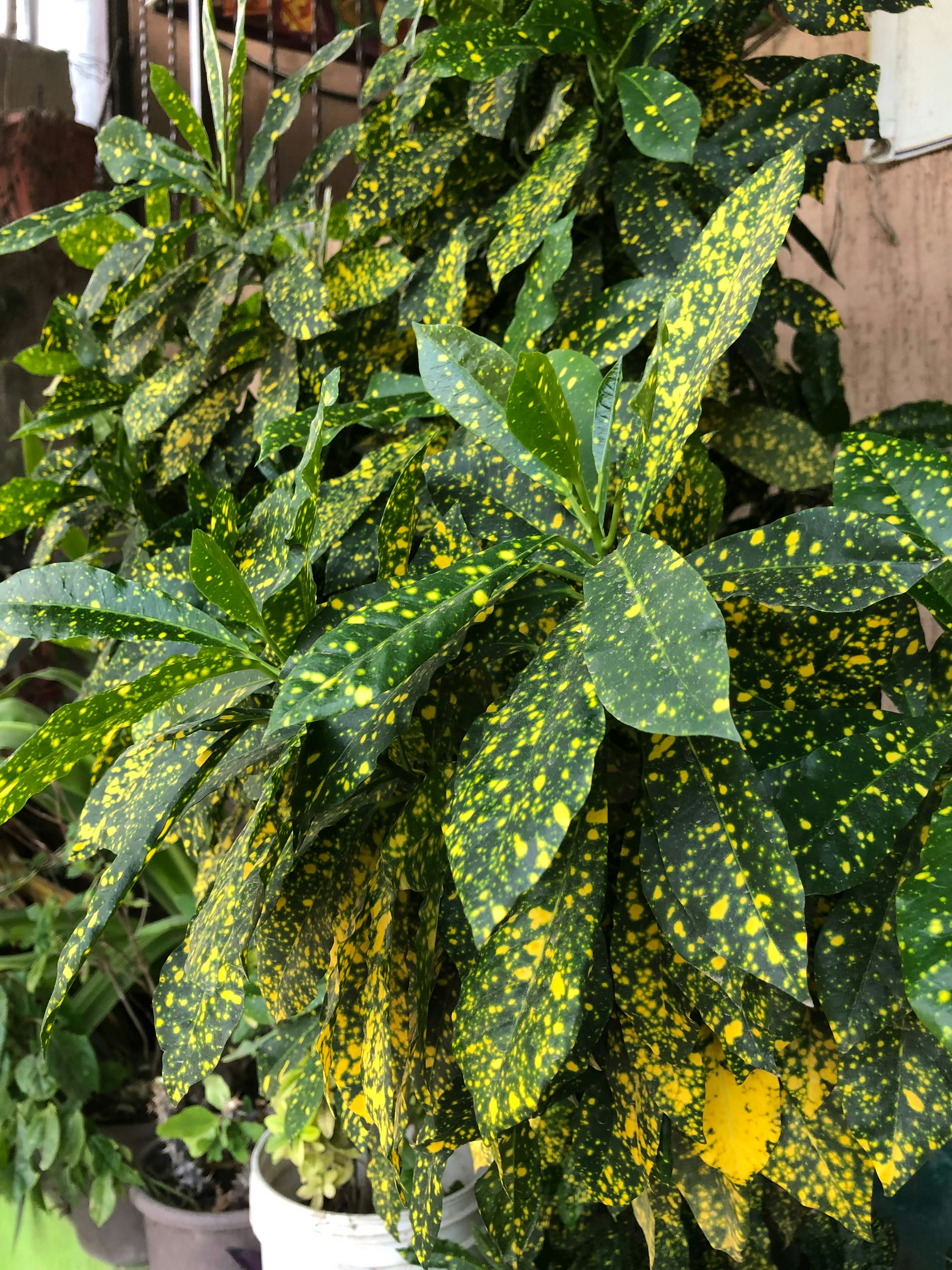 Photo by orlandojfh15