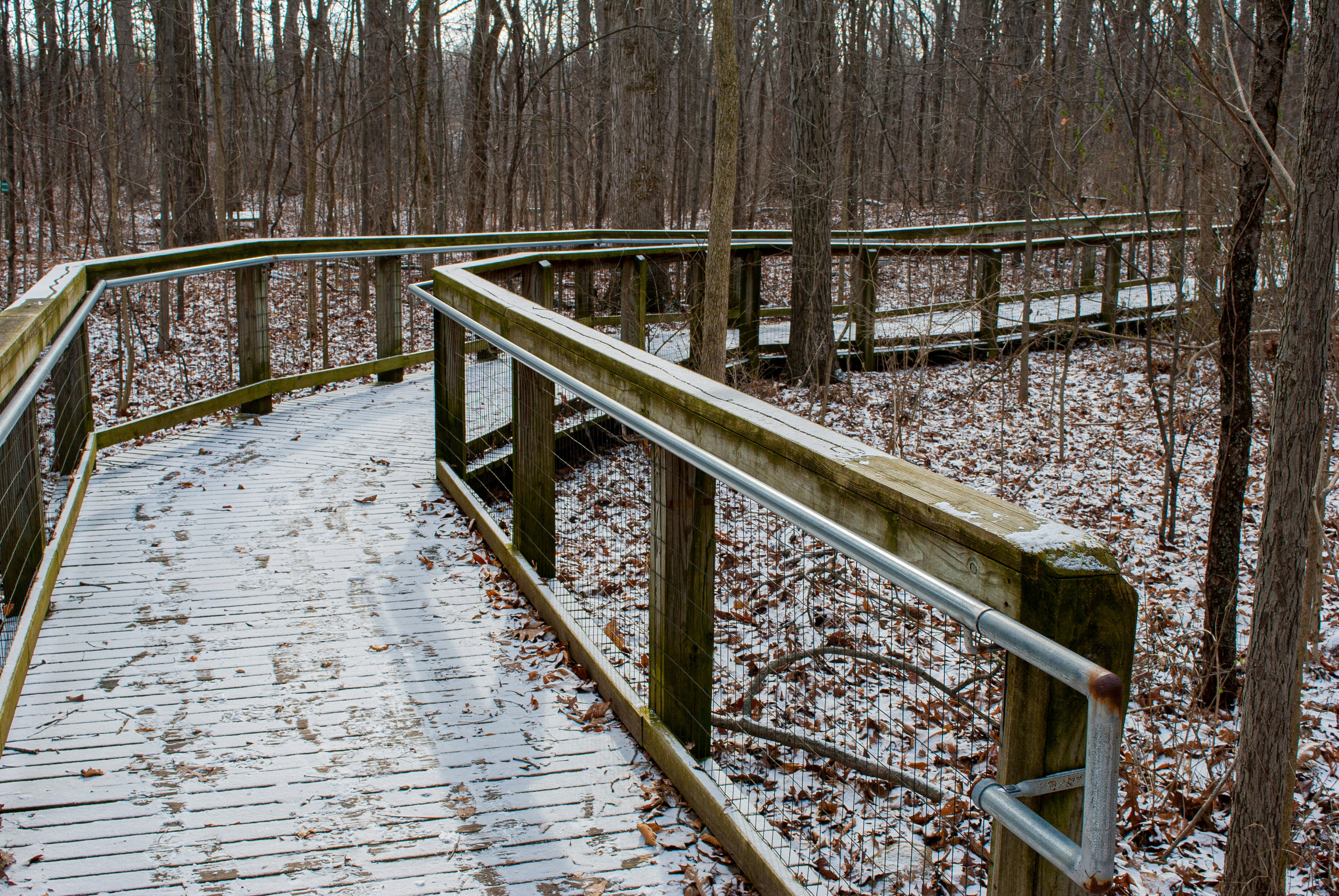 Photo by beatthebizz