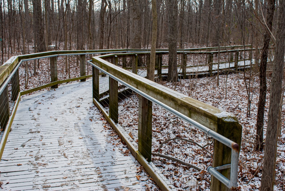 a wooden walkway in the woods with snow on the ground