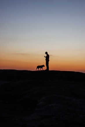 A happy pet owner using the Silpet app on a smartphone while their dog waits nearby.