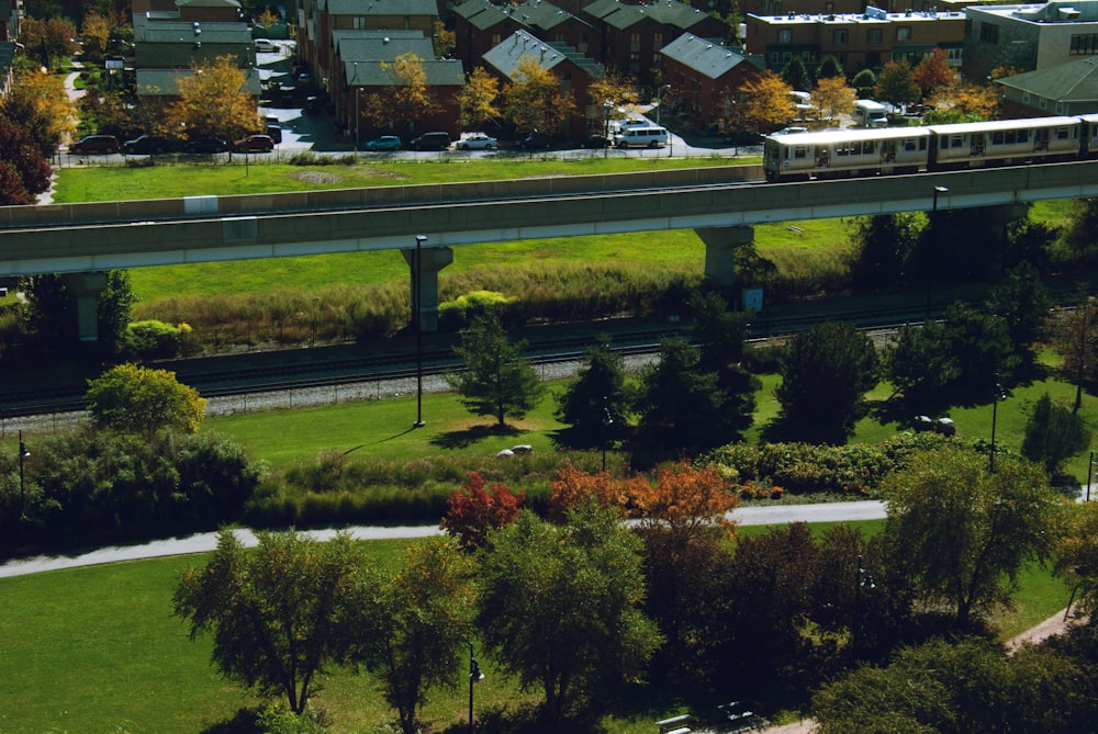 a train traveling over a bridge over a lush green field