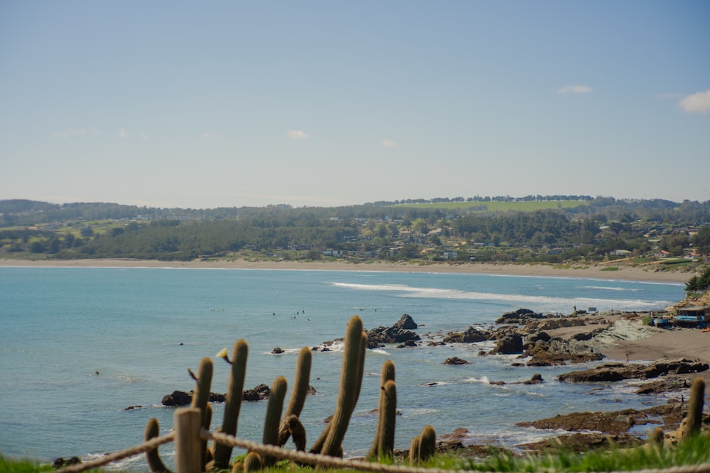 a body of water with a beach in the background