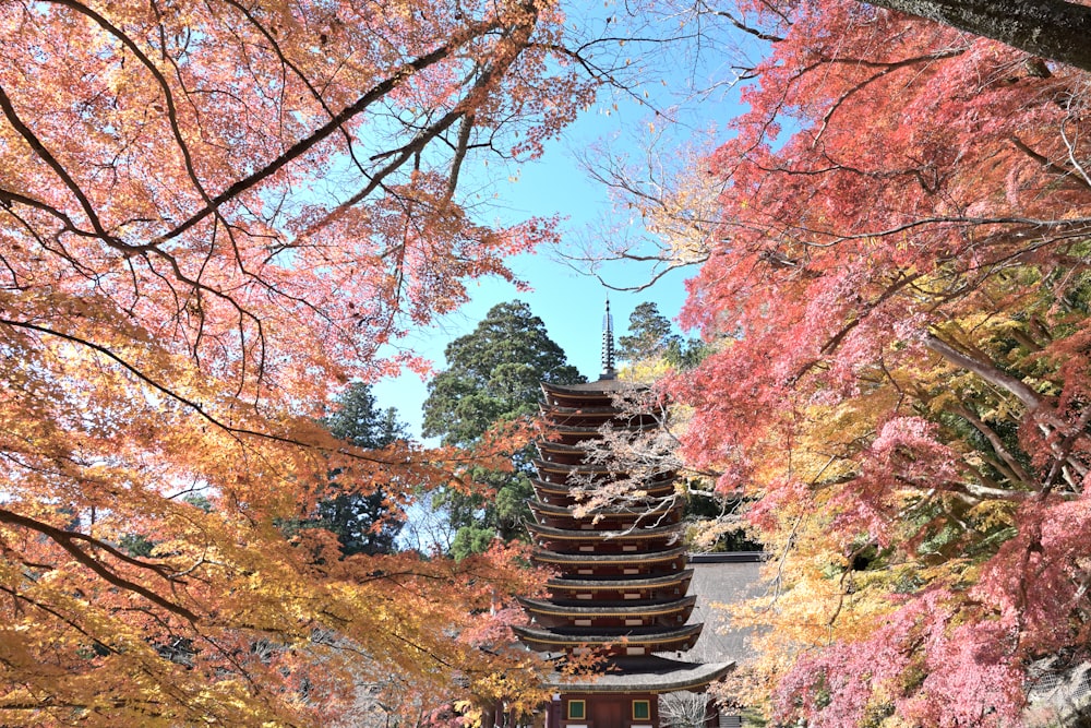 a pagoda surrounded by trees in a park