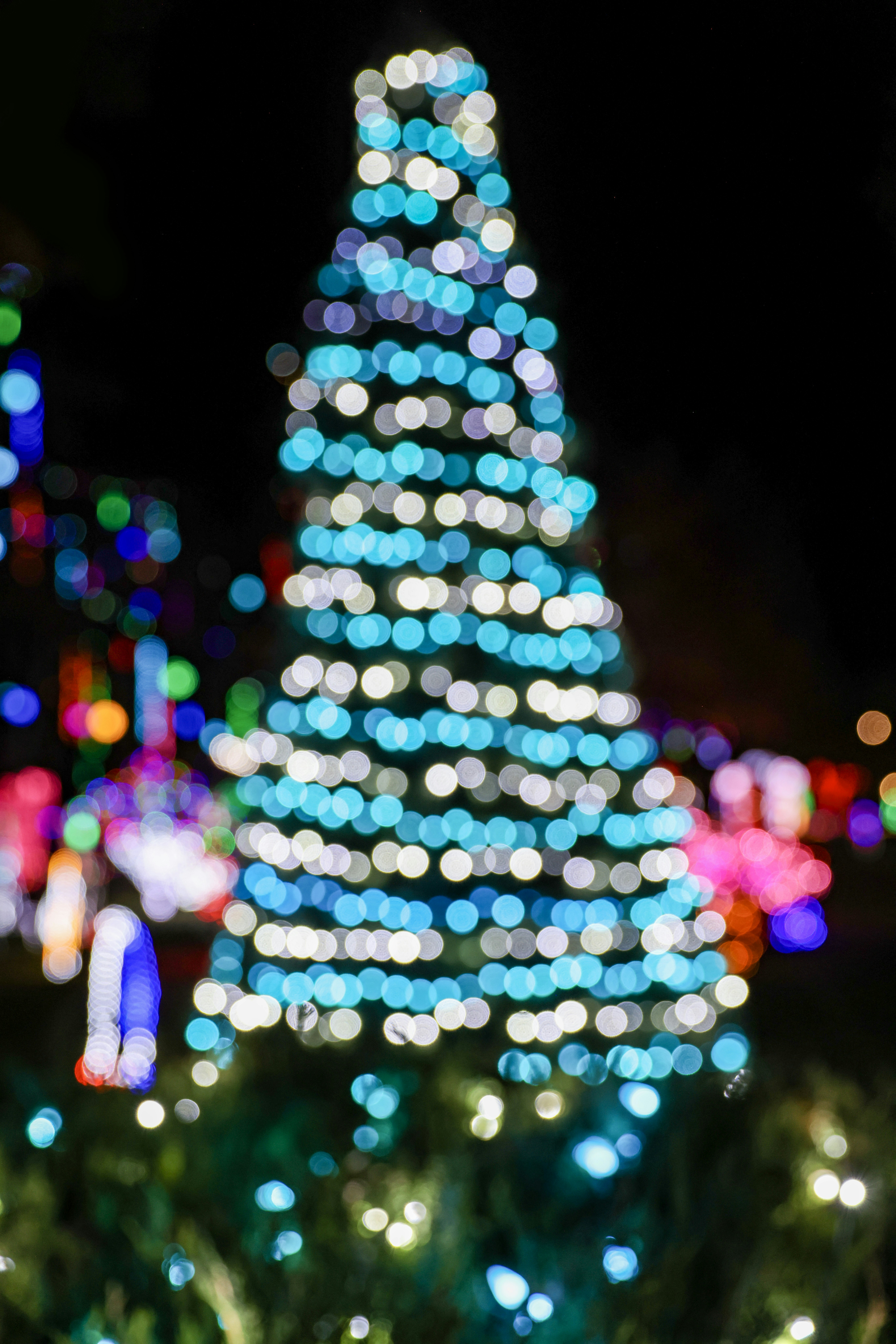 Photo by rocinante_11