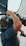 A person operates a large professional camera, holding it on their shoulder. The camera is equipped with various controls, cables, and a matte box. Strong lighting is visible in the background, indicating a studio or professional filming environment.