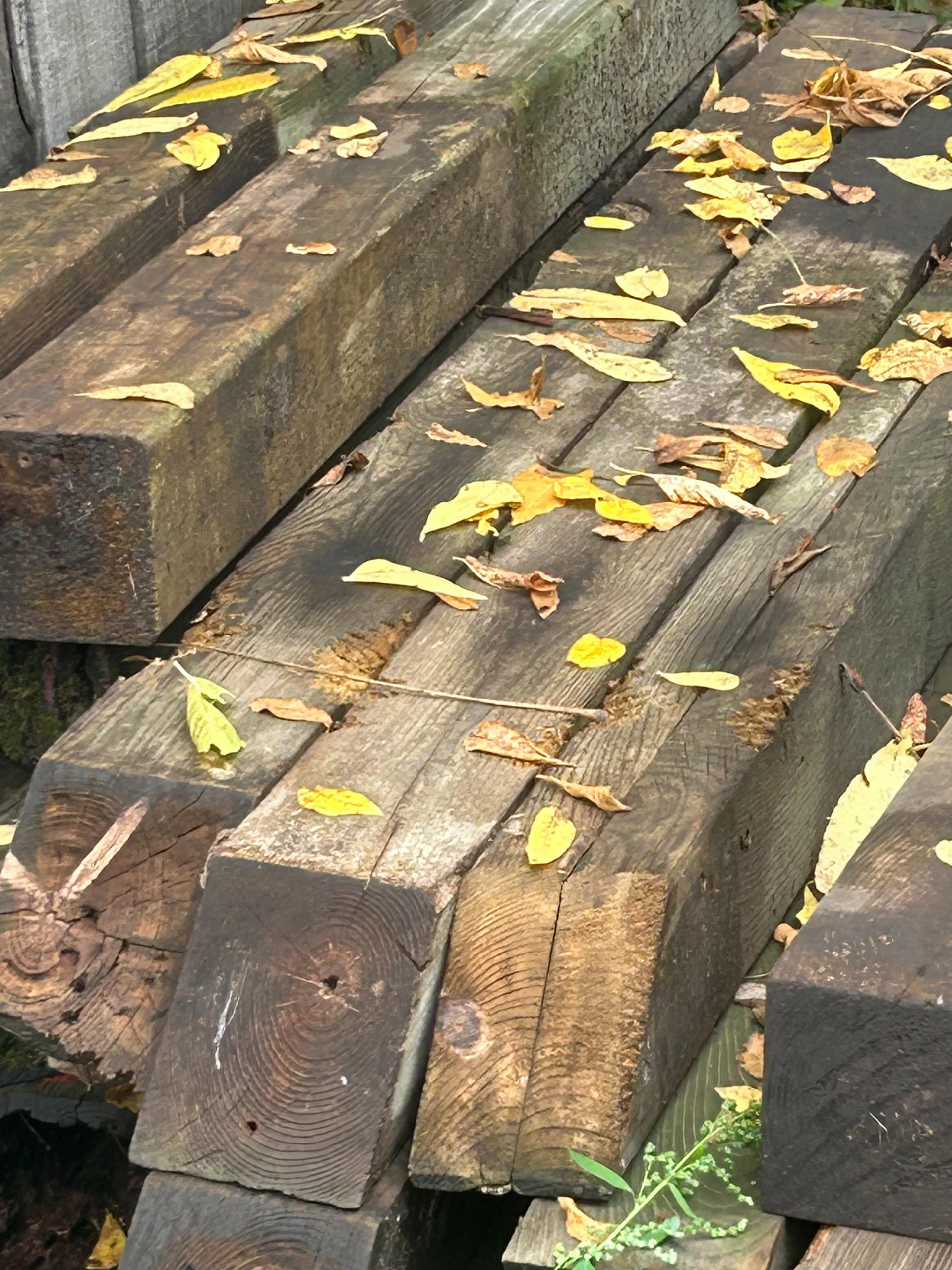 woman wearing yellow long-sleeved dress under white clouds and blue sky during daytime