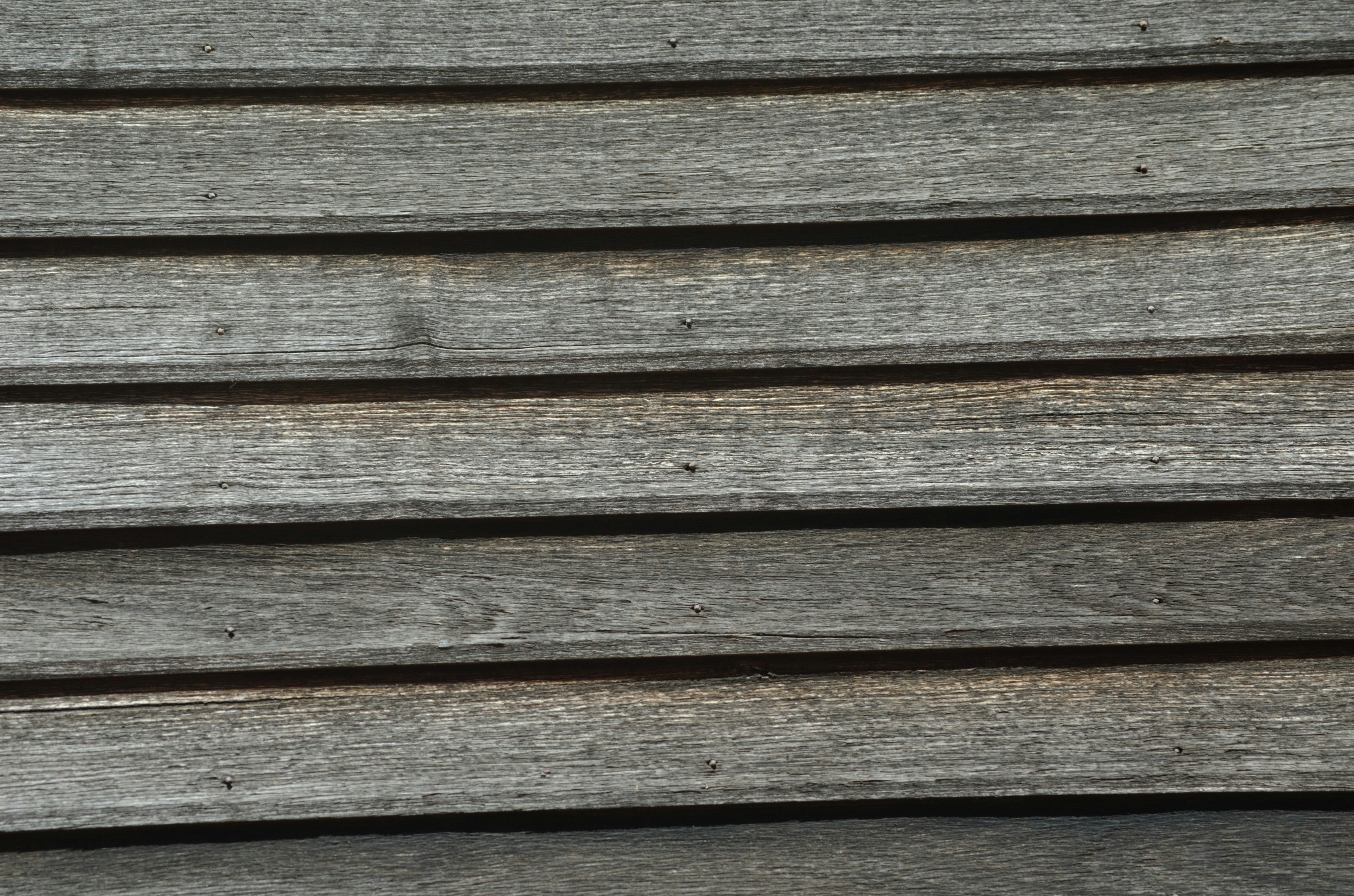 Photo by jessicadonnelly