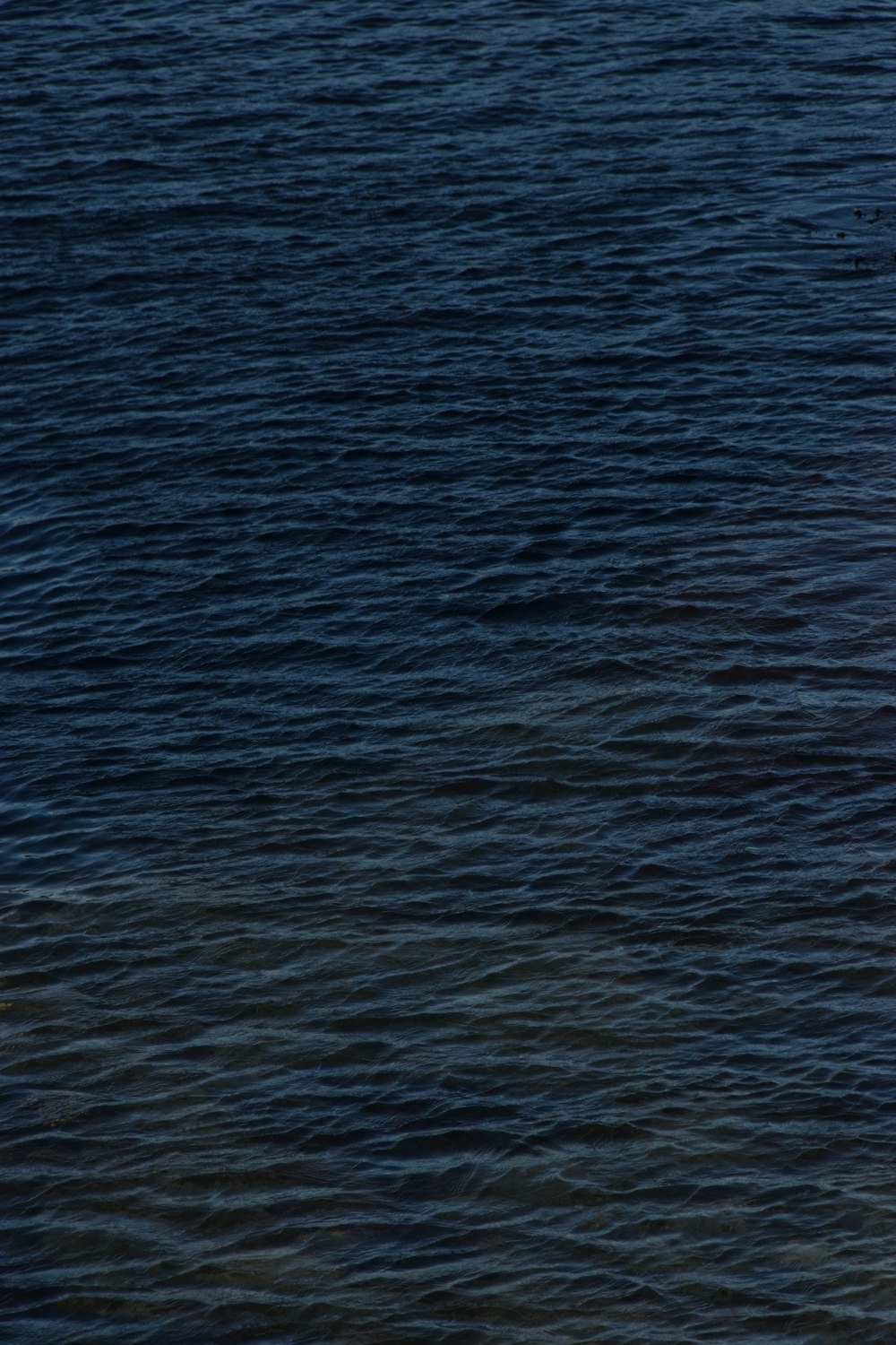 a man riding a surfboard on top of a body of water