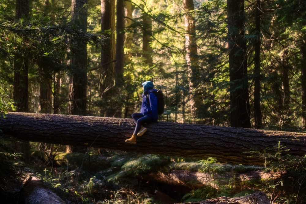 a person sitting on a fallen tree in a forest