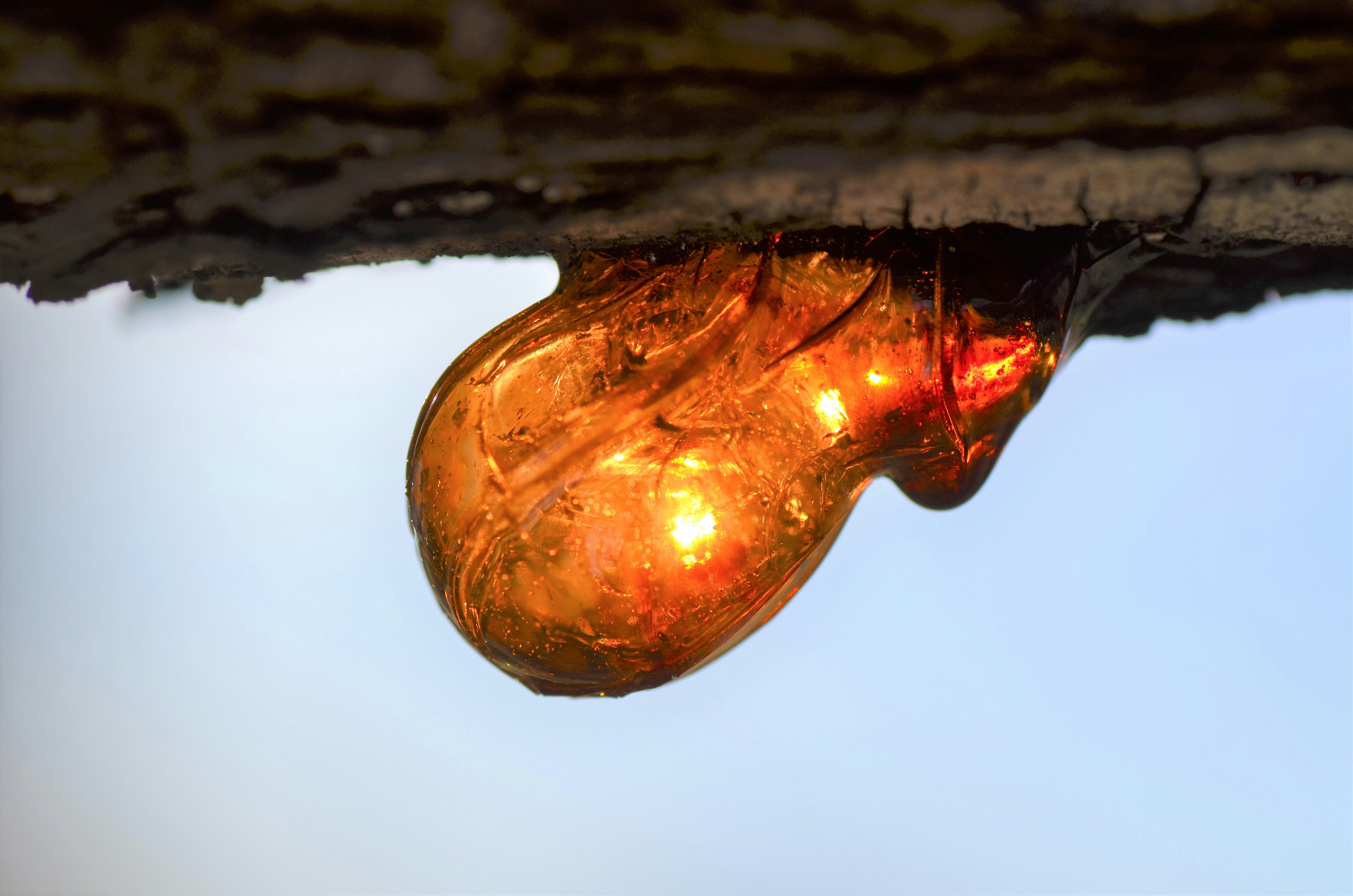 Photo by jessicadonnelly