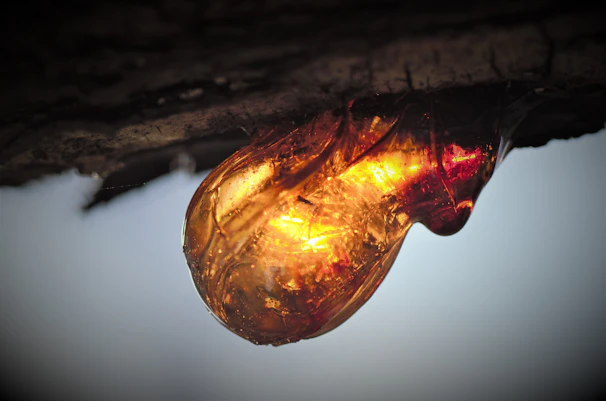 Detailed shot of a resin creation embedded with natural elements, glowing softly under warm light.