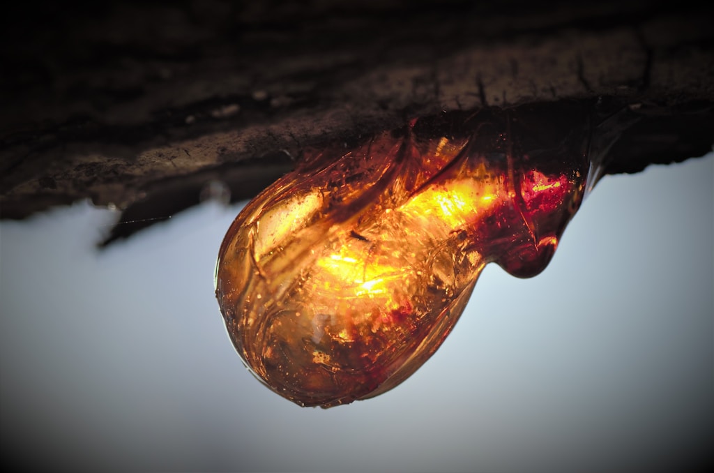 Materiales y herramientas