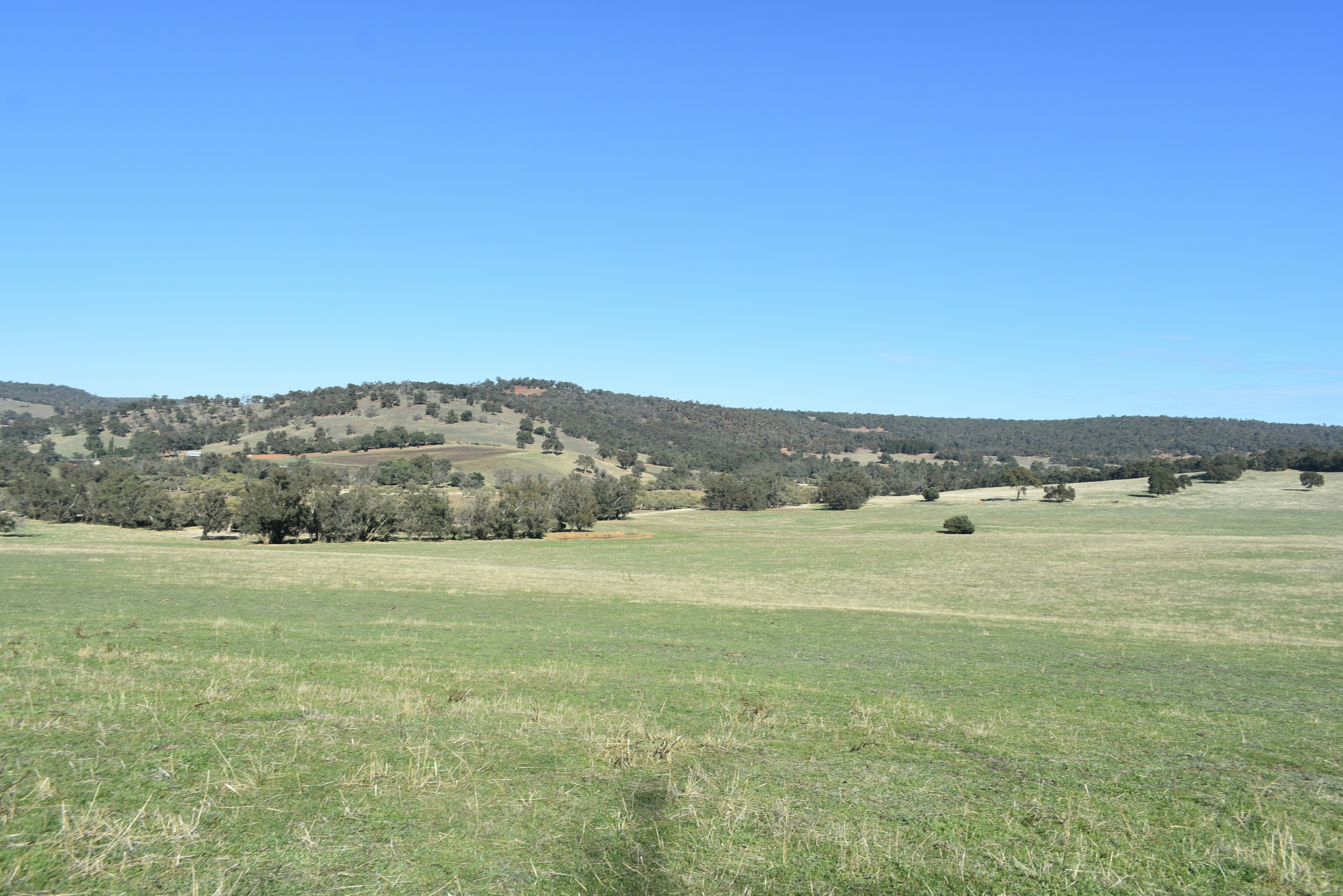 Photo by jessicadonnelly