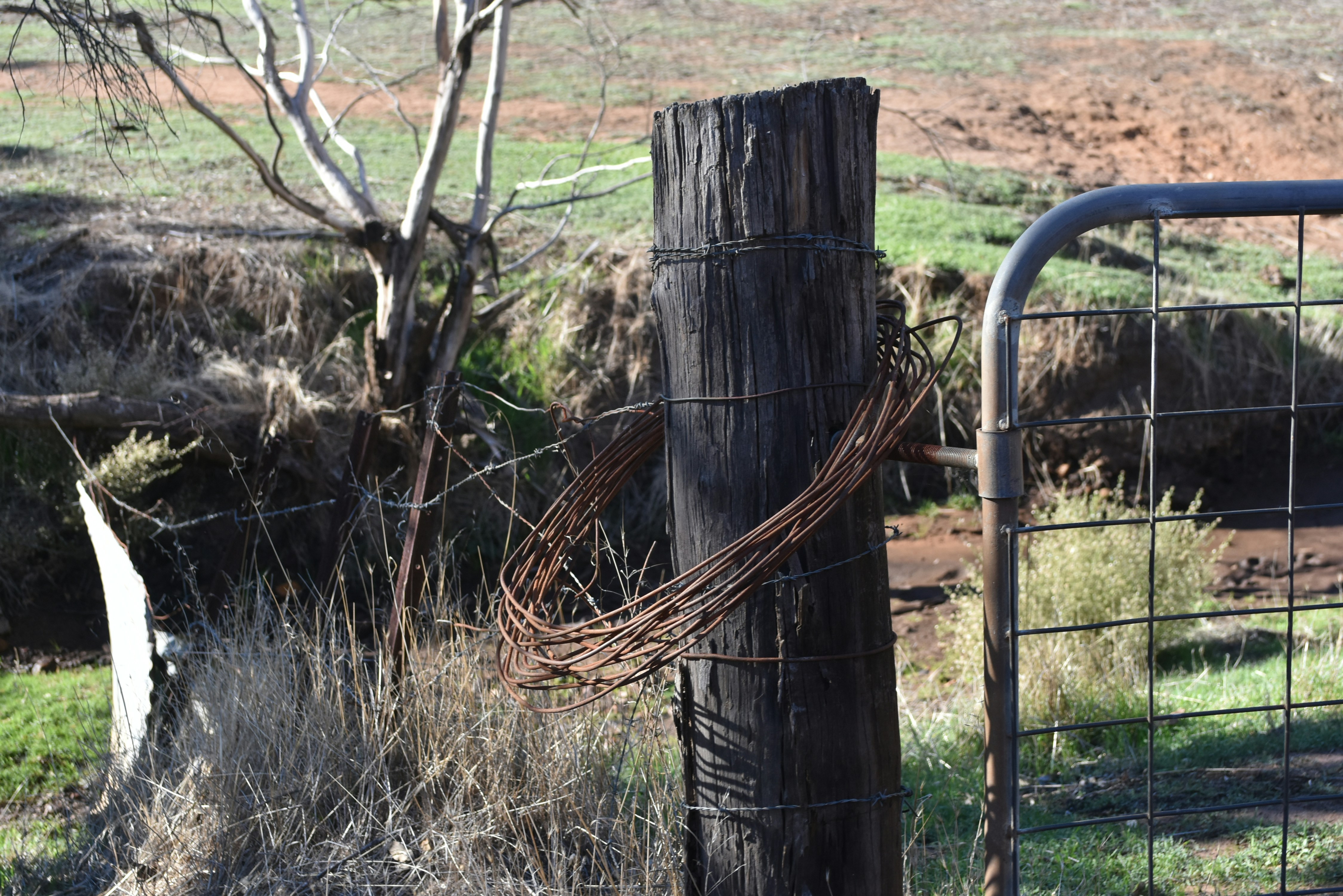 a wooden post with a barbed wire fence around it